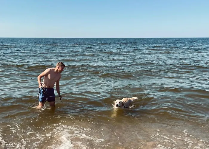 Roza Wiatrow ゲストハウス